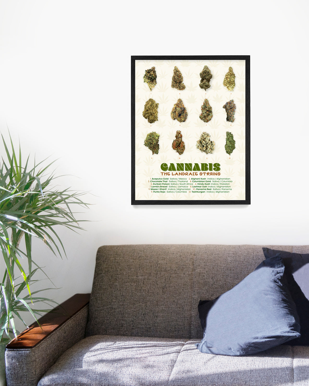 The Landrace Cannabis Strains Poster, Cannabis Wall Art