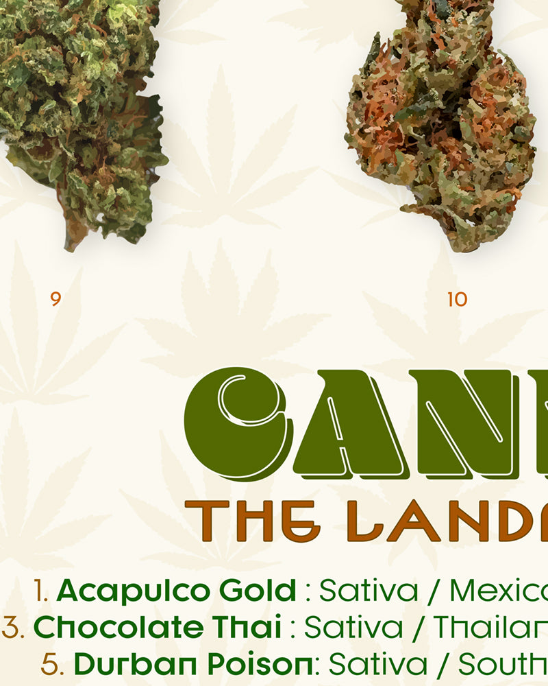 The Landrace Cannabis Strains Poster, Cannabis Wall Art