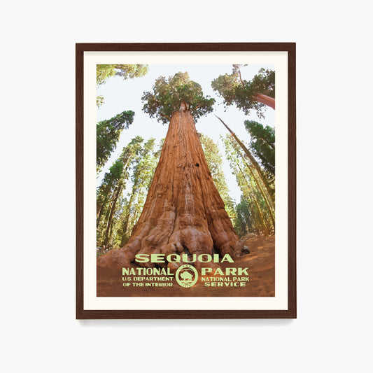 Sequoia National Park Poster, National Park Wall Art