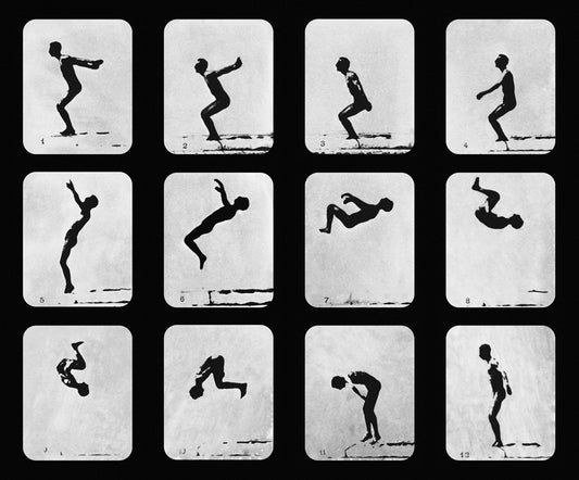 Backflip composite License - 2 usages @ $200 each