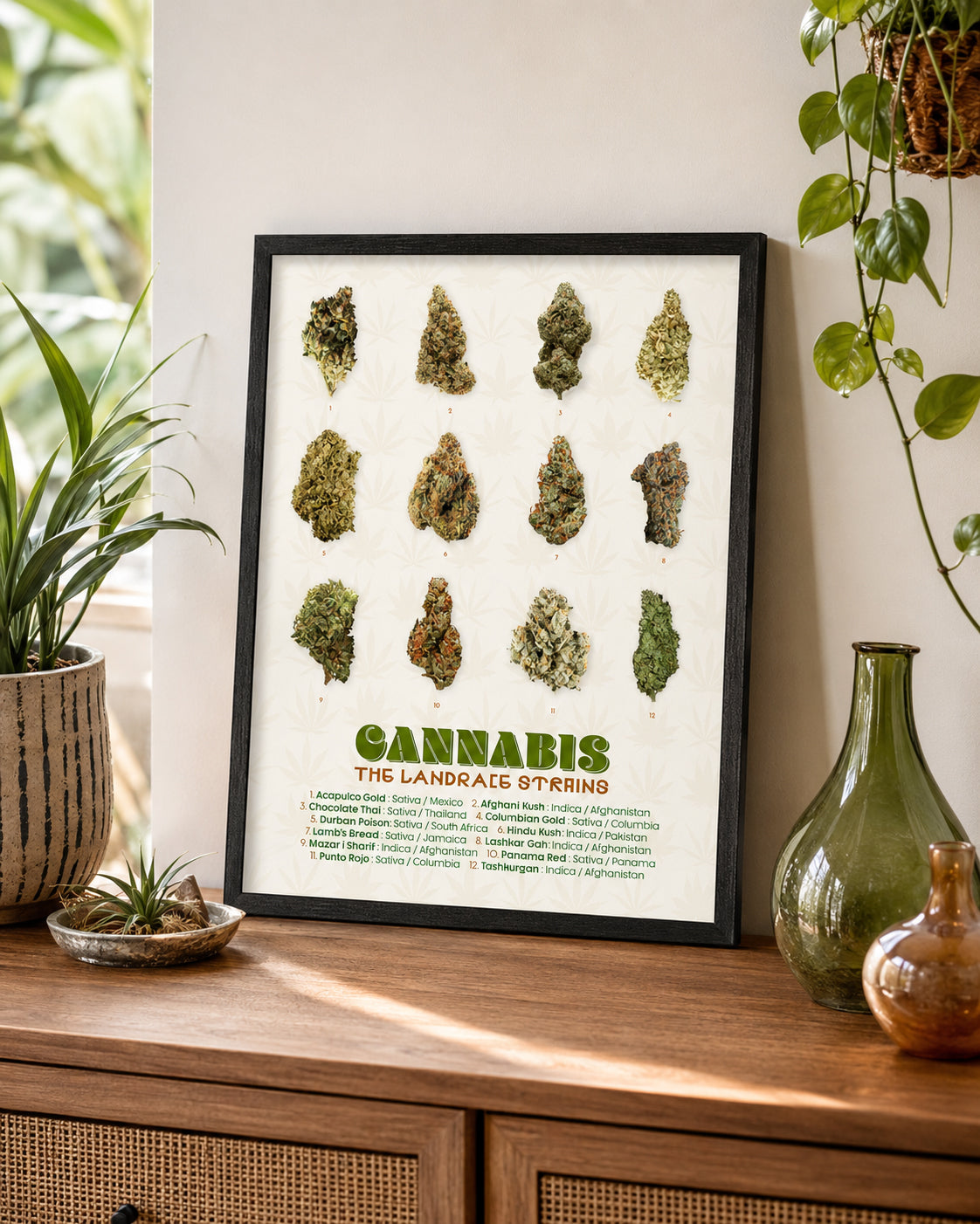 The Landrace Cannabis Strains Poster, Cannabis Wall Art