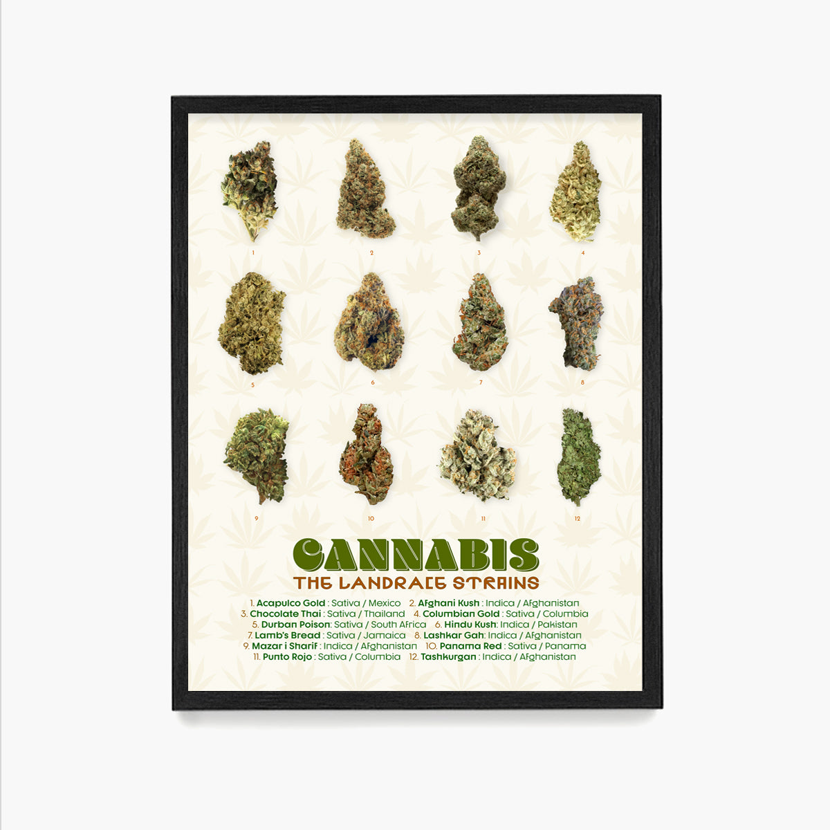 The Landrace Cannabis Strains Poster, Cannabis Wall Art
