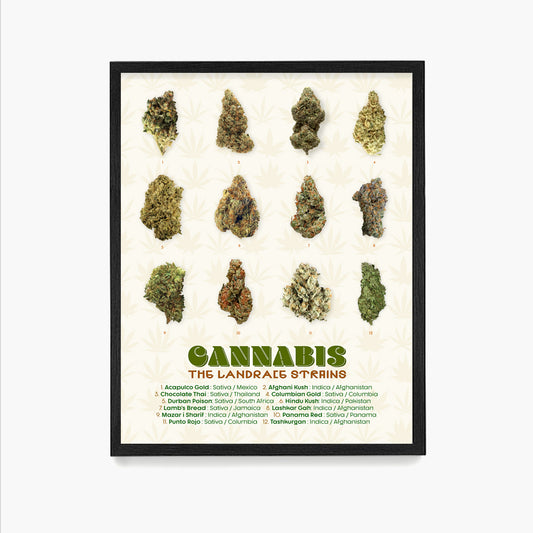 The Goods - 5 Cannabis Framed Prints 18x24 each