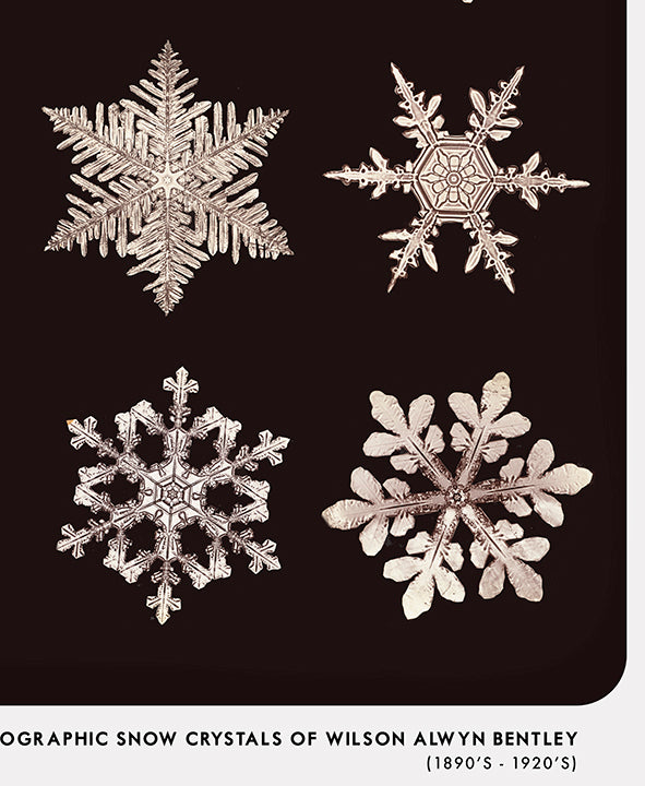 Snowflake Typology Poster, Winter Wall Art, Wilson Alwyn Bentley Snowflake Art