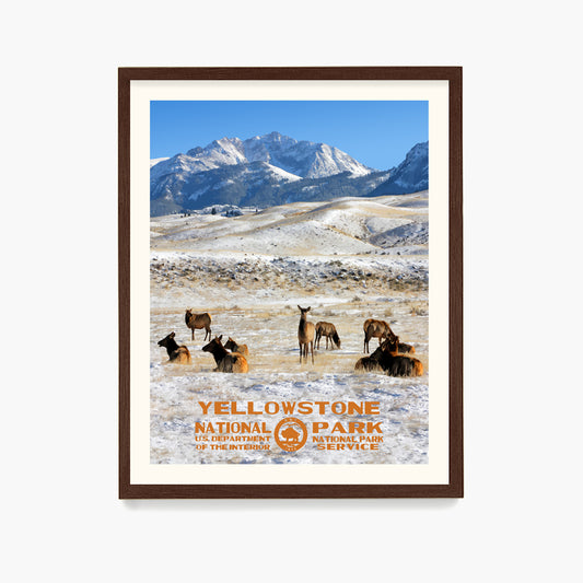 Yellowstone National Park Poster, National Park Wall Art